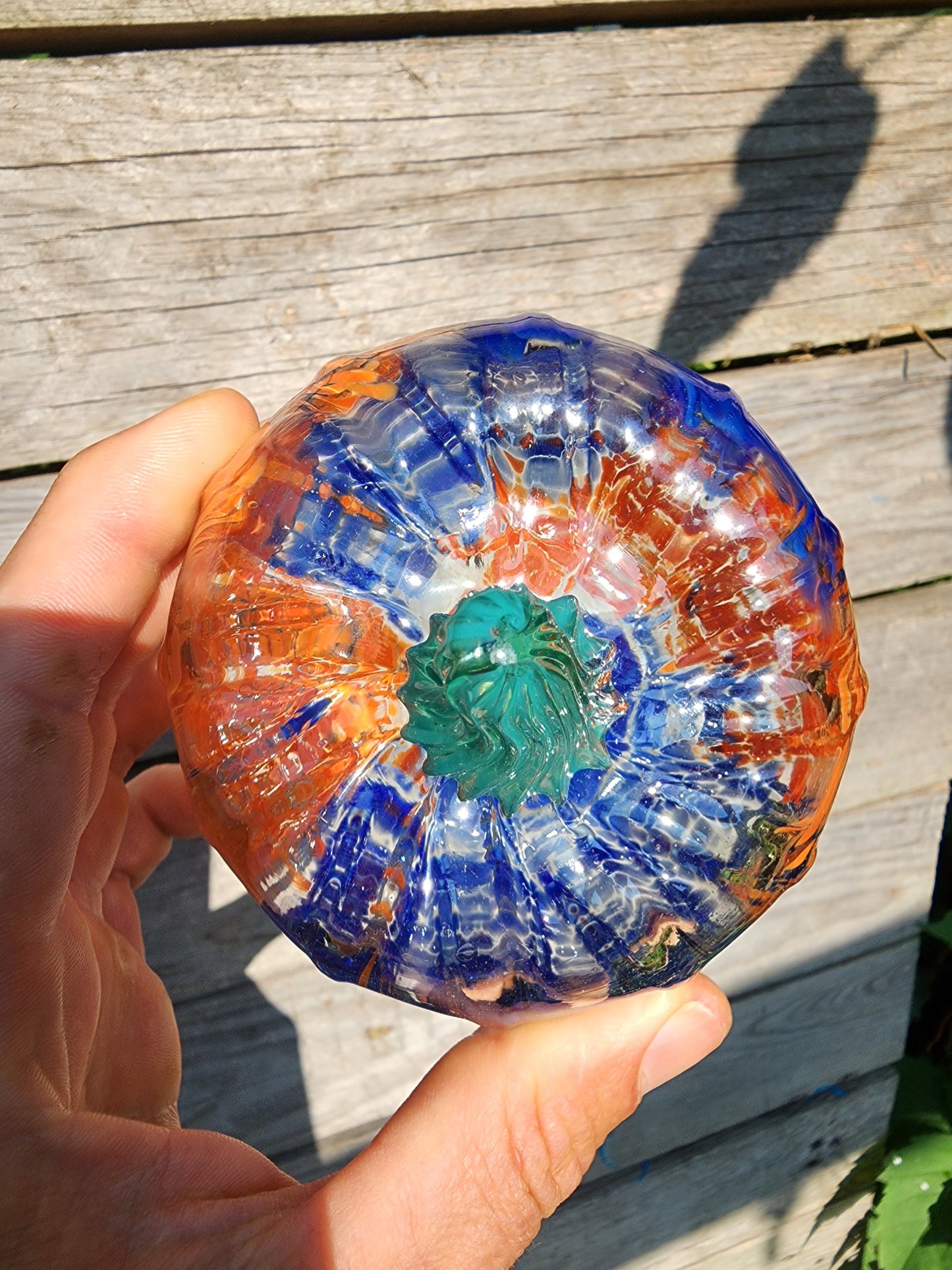 Illini Pumpkin- Orange and Blue
