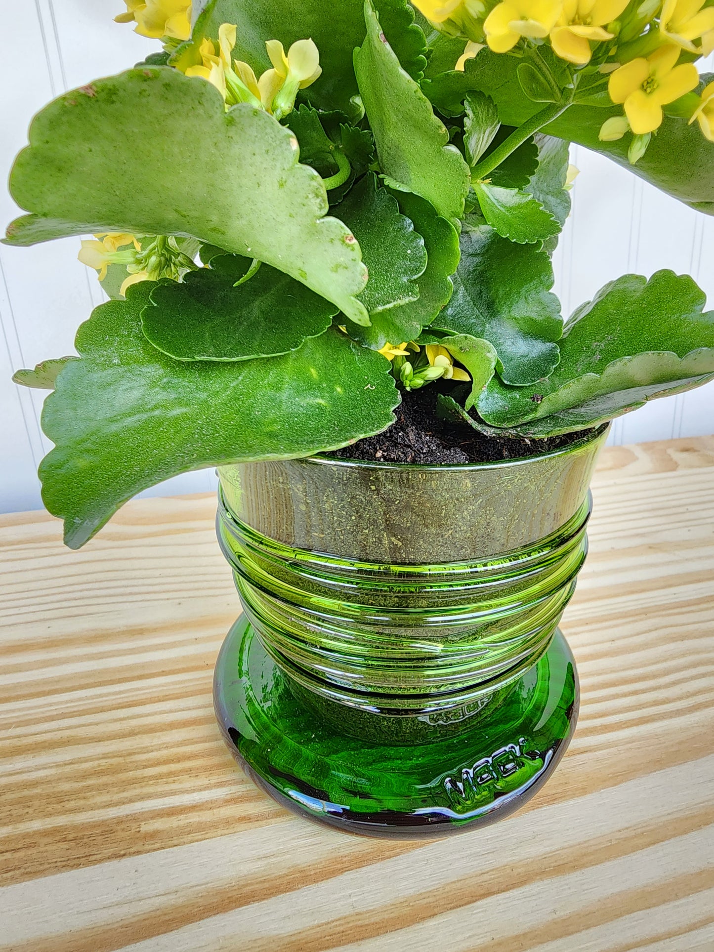 4" Planter Pot with Dish