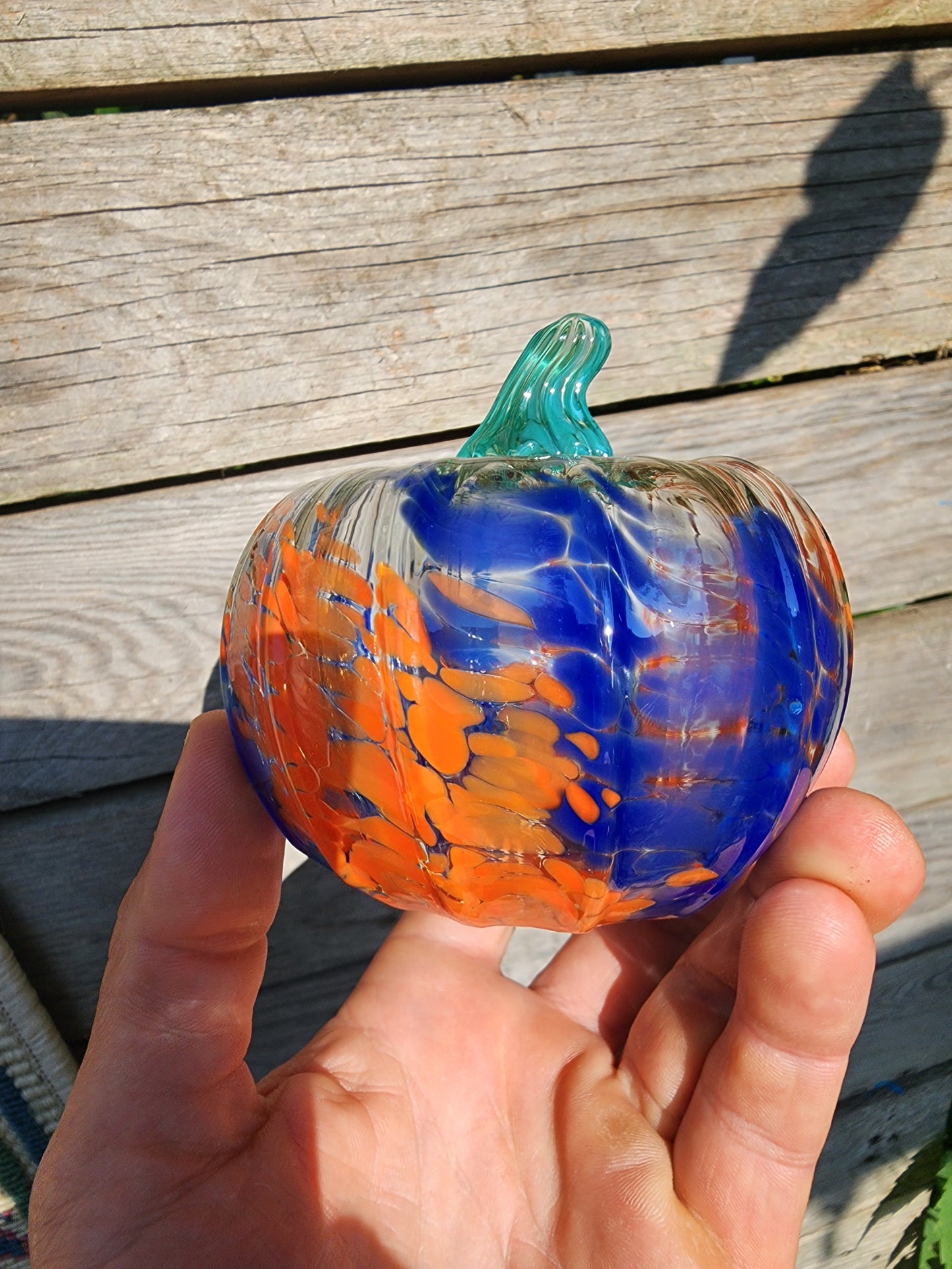 Illini Pumpkin- Orange and Blue