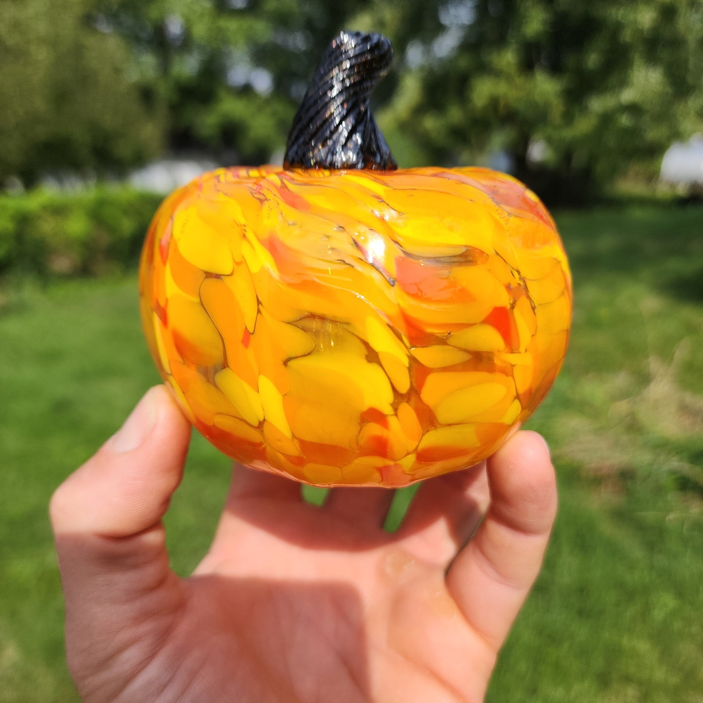 Medium Size Pumpkin- Bright Orange Mix